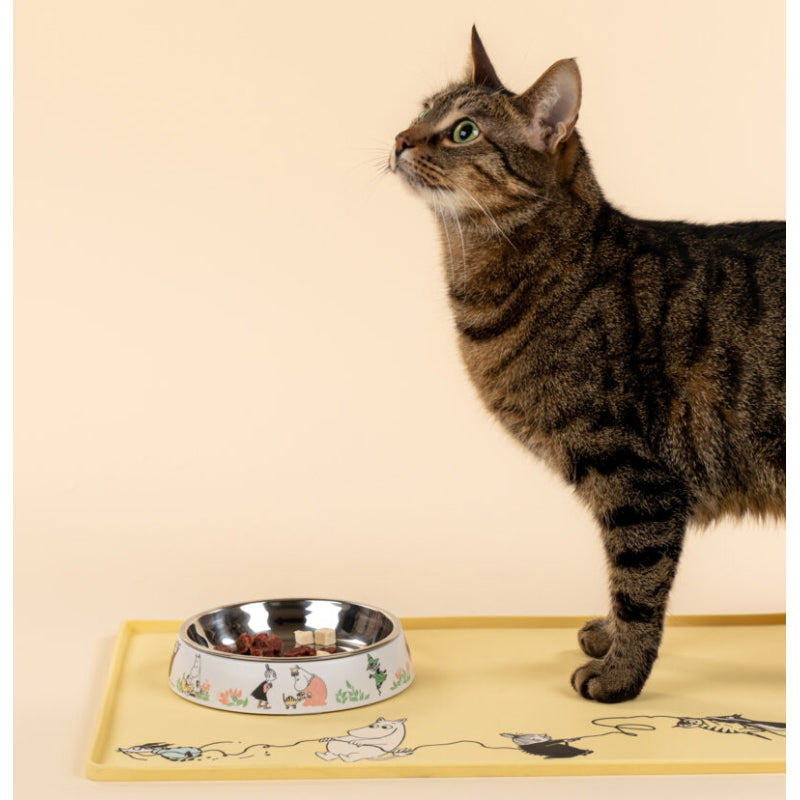 Moomin Cats Bowl - White