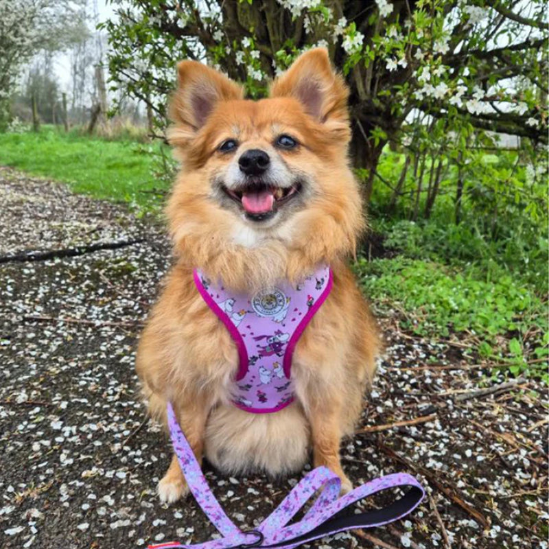 Moomin Pink Champagne Dog Lead