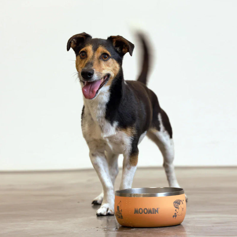 Moomin Lunar Pet Bowl Peach