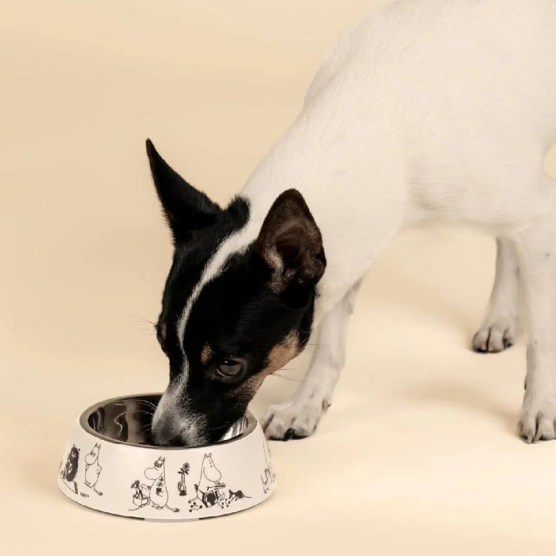 Moomin Pets Bowl 80 - S