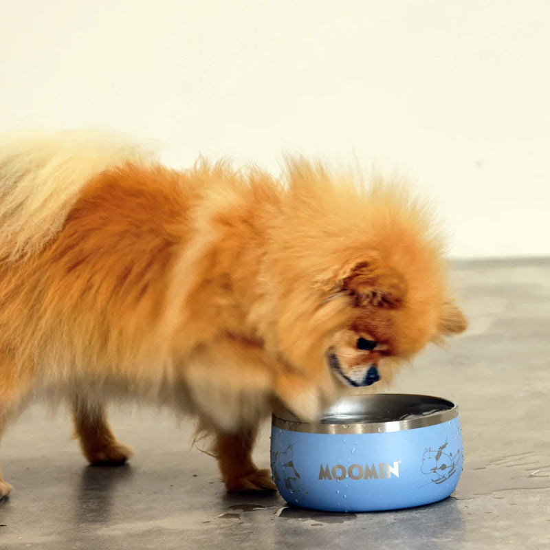 Moomin Lunar Pet Bowl Blue