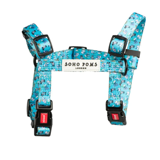 Moomin H-Harness Blue