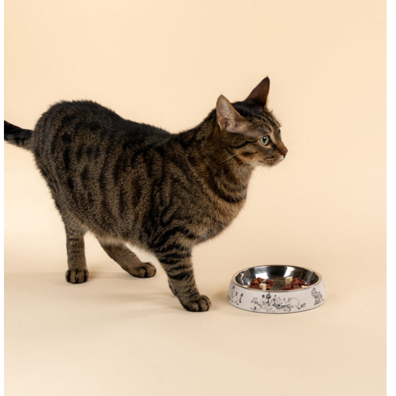 Moomin 80 Cat Bowl