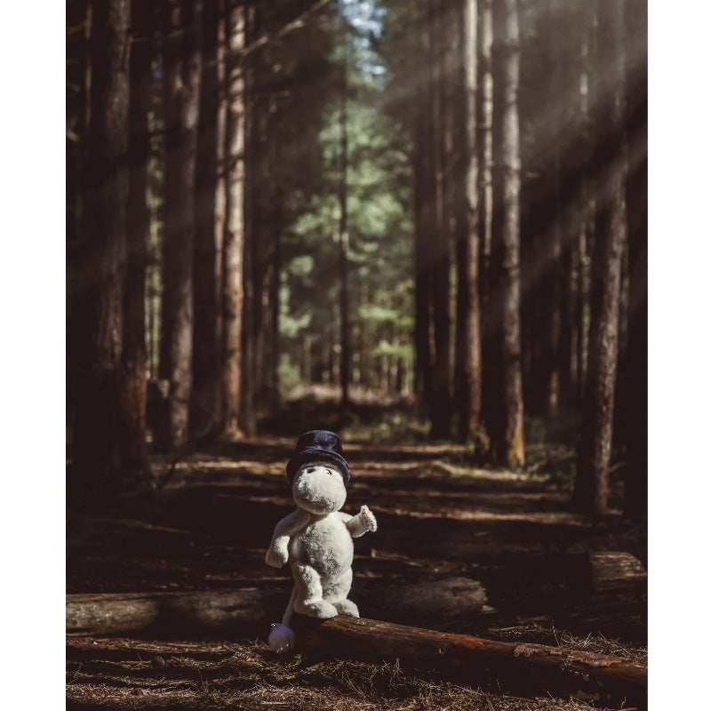 Moominpappa - Moomin by Charlie Bear